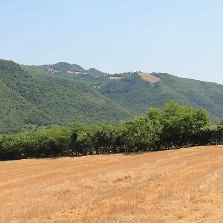 Degli Orti *